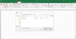 Importation  all_inlinks.csv dans Excel