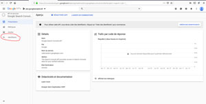 Google Search Console API activée