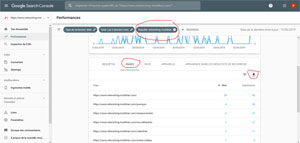 Performances Requêtes Pages Google Search Console