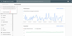 Tableau de Bord Google Search Console