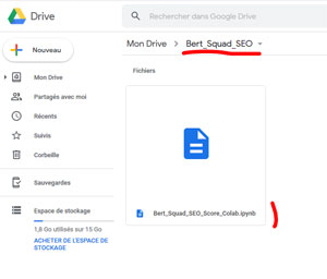 Google Drive Bert_Squad_SEO