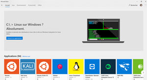Microsoft Store Linux