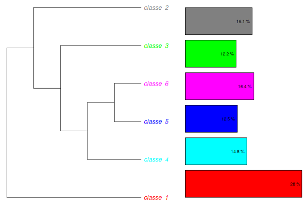 Dendrogramme de la classification à 6 classes